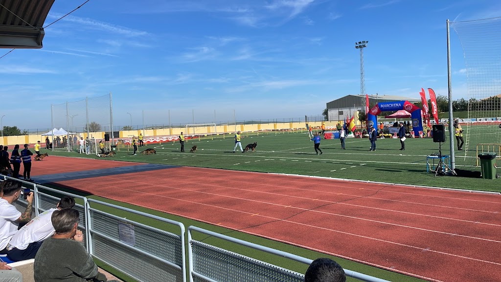 Pistas de Atletismo Marchena