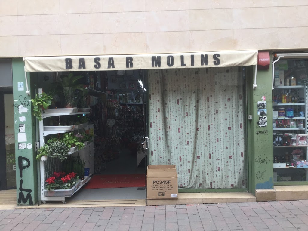 Basar Molins