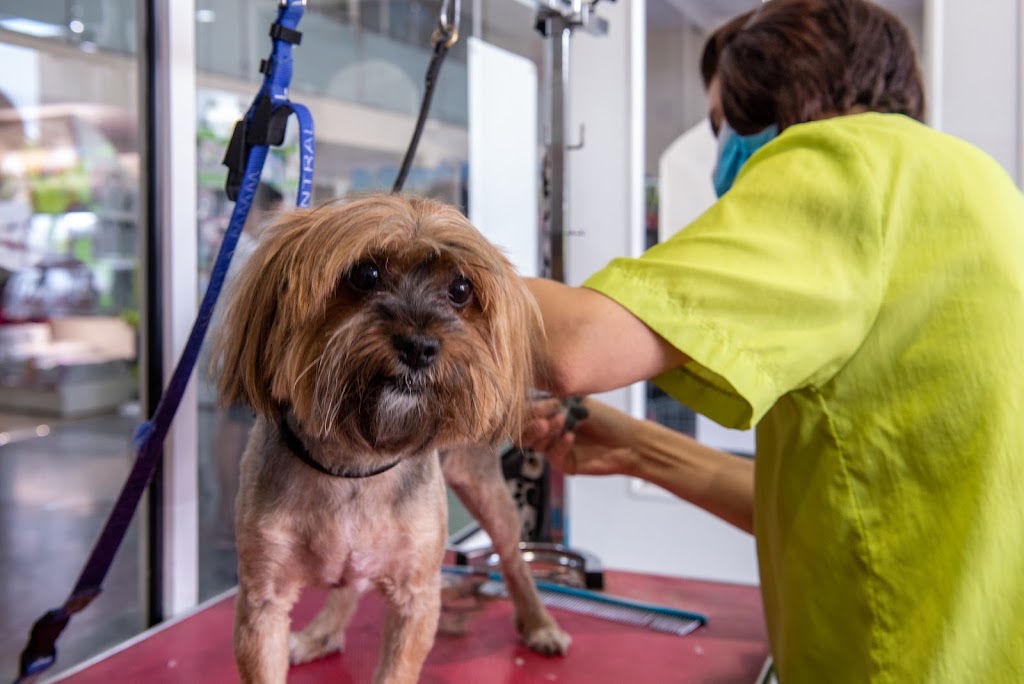 Zootecnica Jerezana — Perro