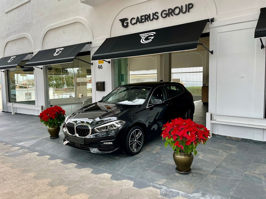 Concecionario de coches - Caerus Group