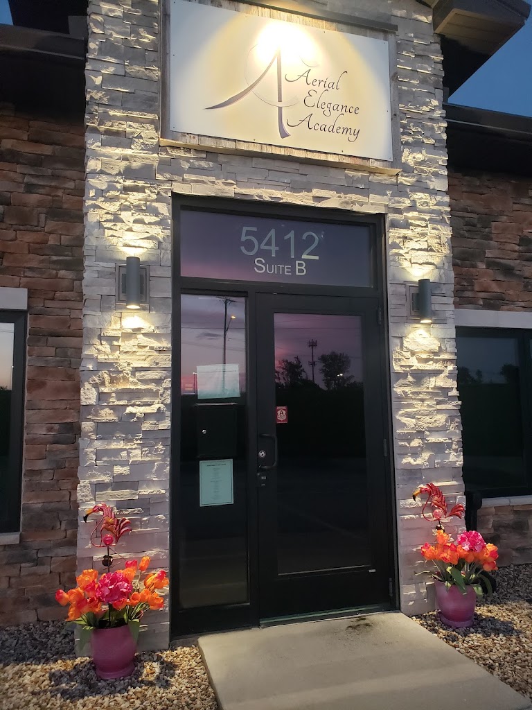  Aerial Elegance Academy
