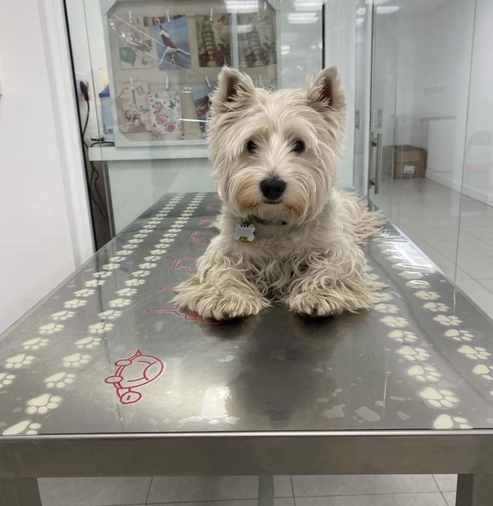 Clinica Veterinaria de Catalunya