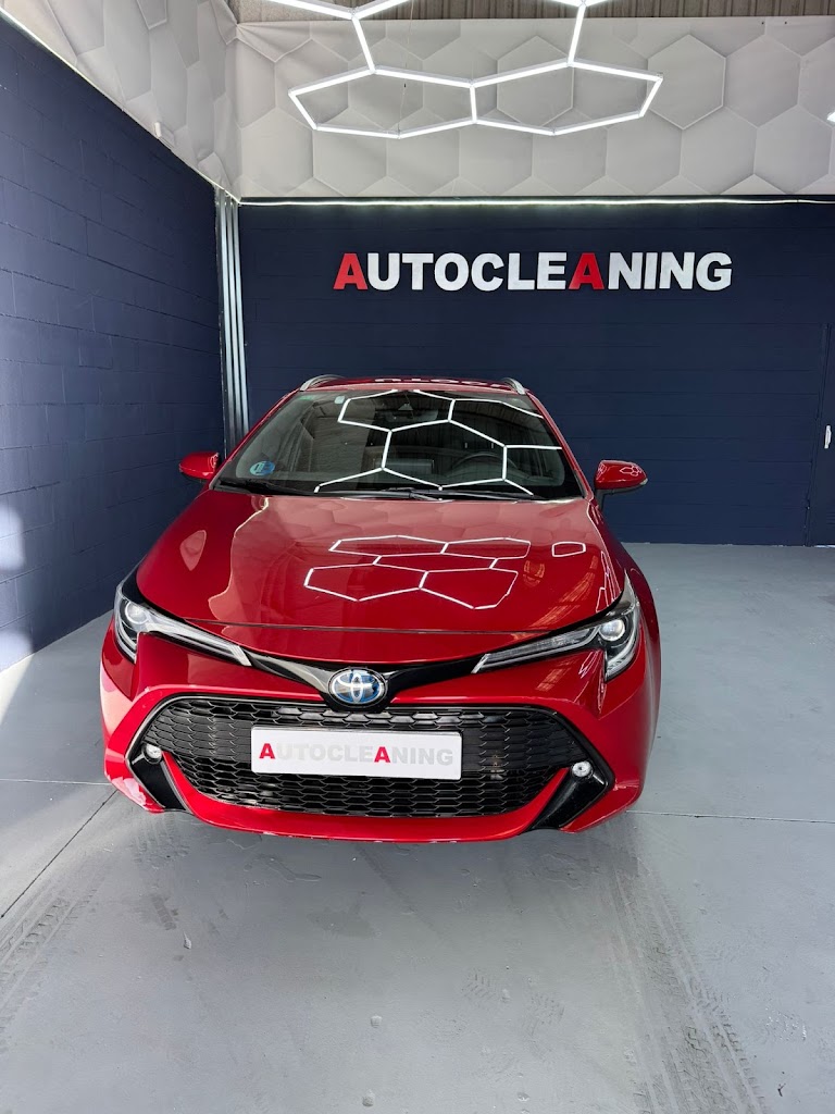 AUTOCLEANING — Mas recientes