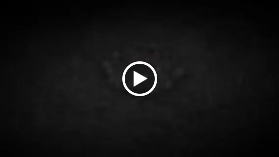  Faith Weights and Protein Shakes