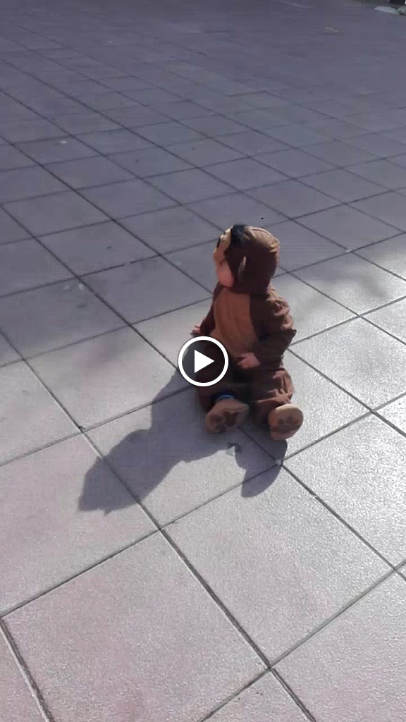 Museo Deu — Videos