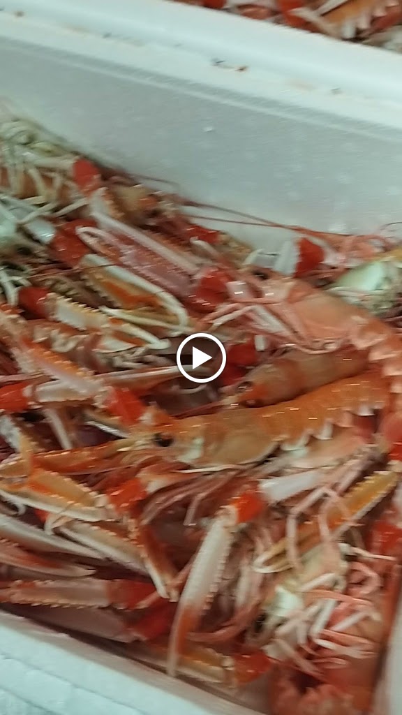 Restaurant Braseria El Moli de Vent — Videos