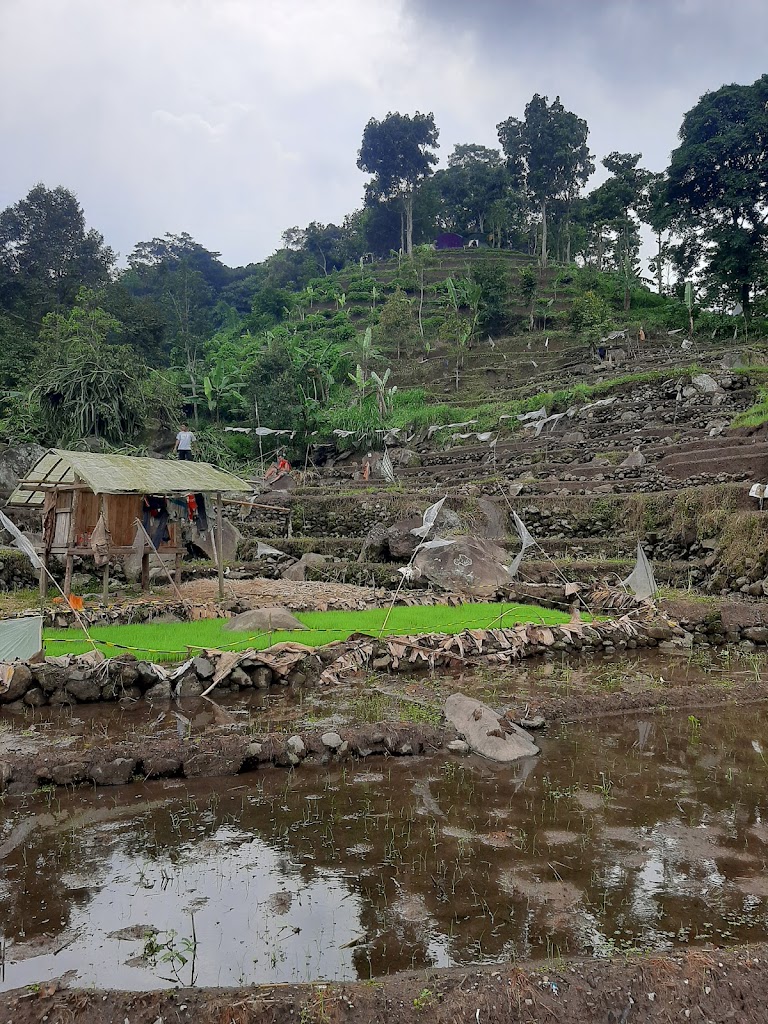 Bumi Perkemahan Lumbung Wit-Witan