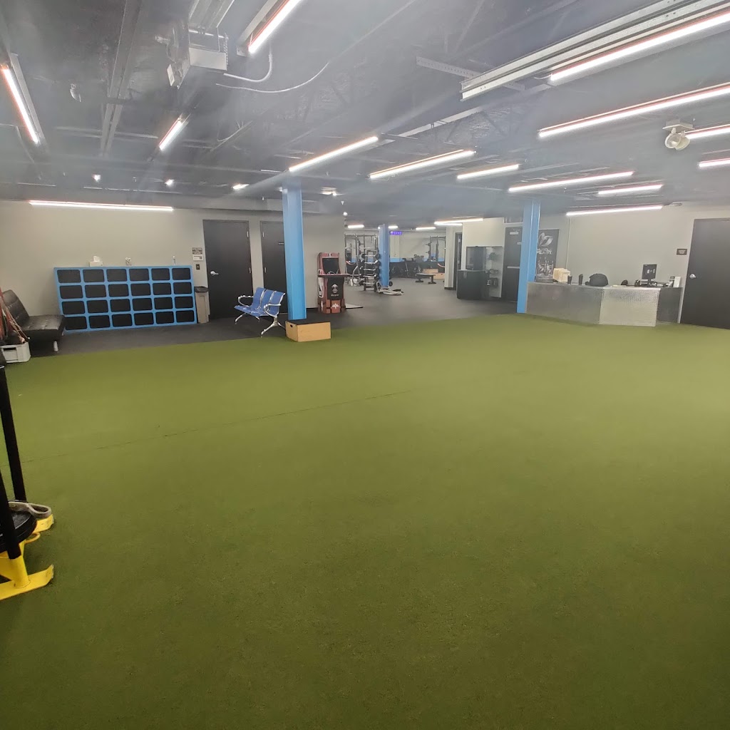  Pure Edge Performance Training