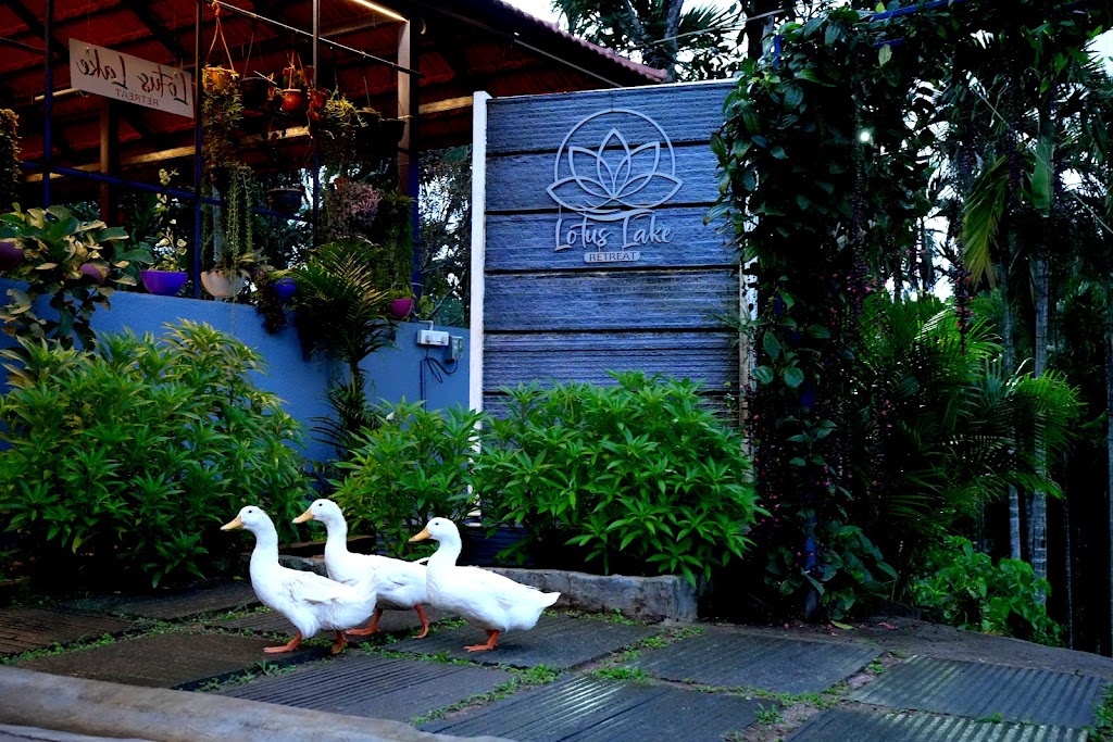 Lotus Lake Retreat