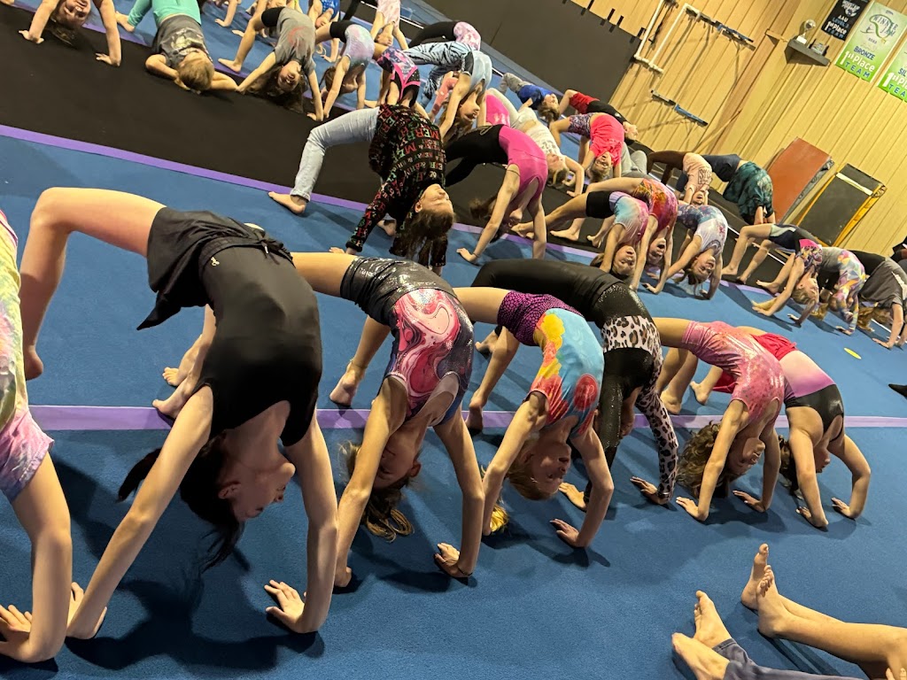  North Georgia Reign Gymnastics & Cheerleading Center