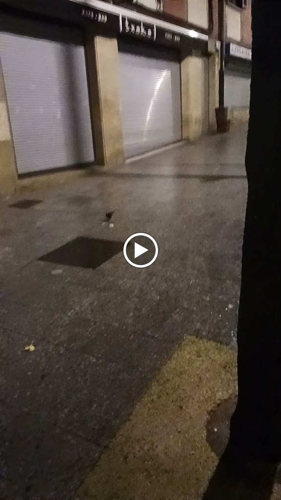 Aparcamiento LIDL — Videos