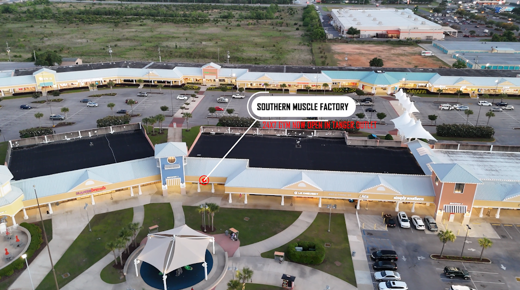  Southern Muscle Factory, LLC