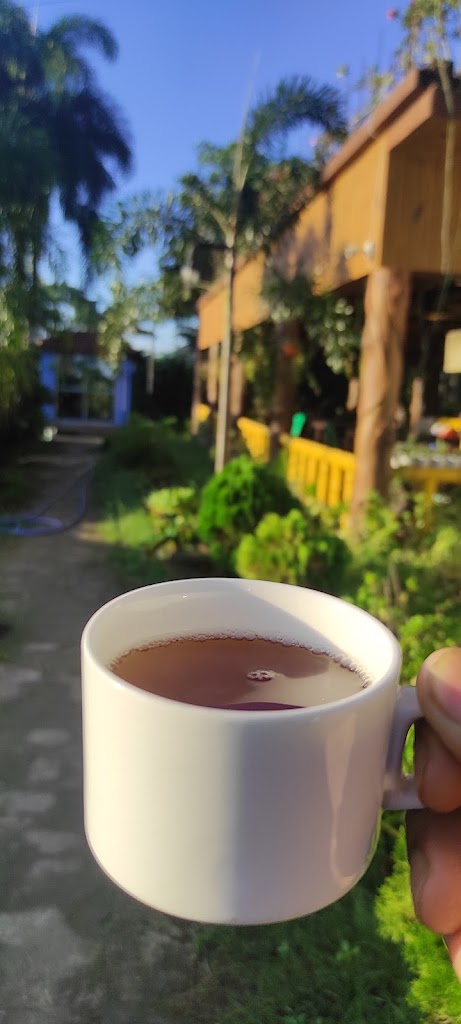Food & drink