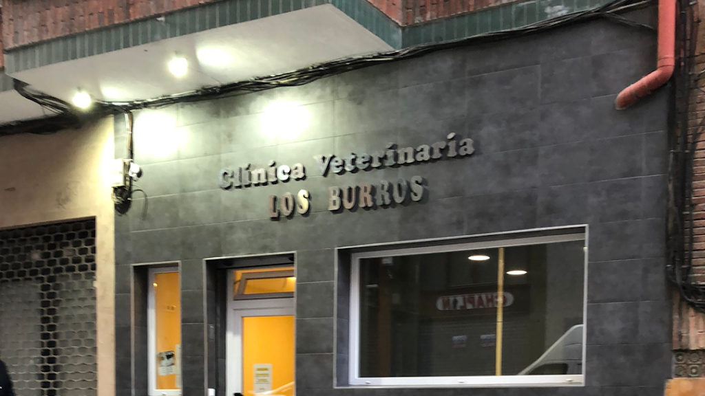 Clinica Veterinaria LOS BURROS — Del propietario