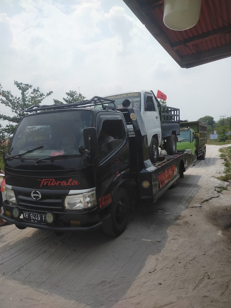 TRIBRATA CAR