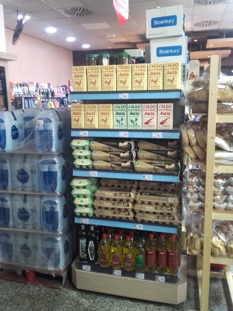 Estacion de Servicio Repsol — Alimento
