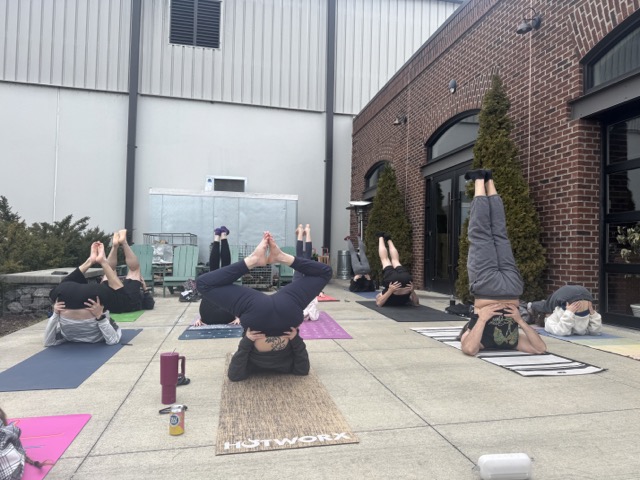  Stardust Yoga Collective