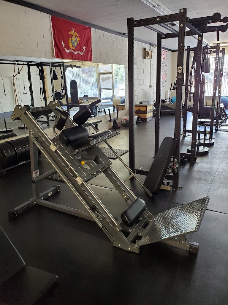  1MoRep Training Studio