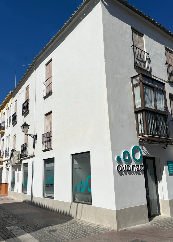 Avanza Asesoramiento Global — Del propietario