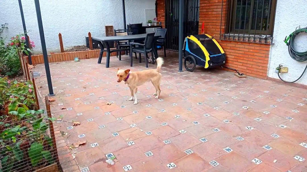 HogarPets