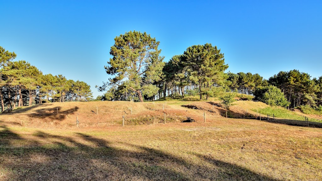 Castro grande de Neixon