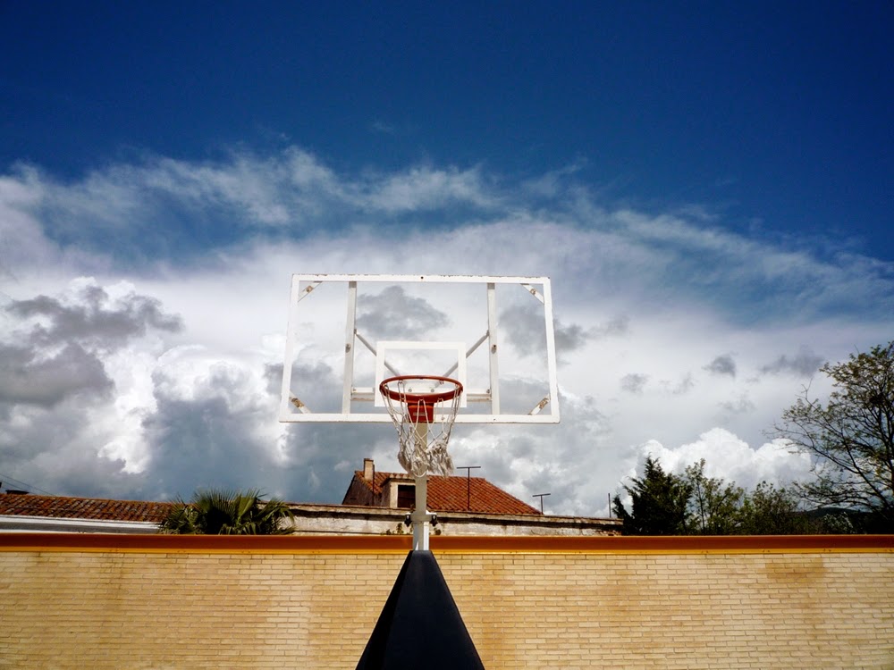 Instituto Joan Coromines