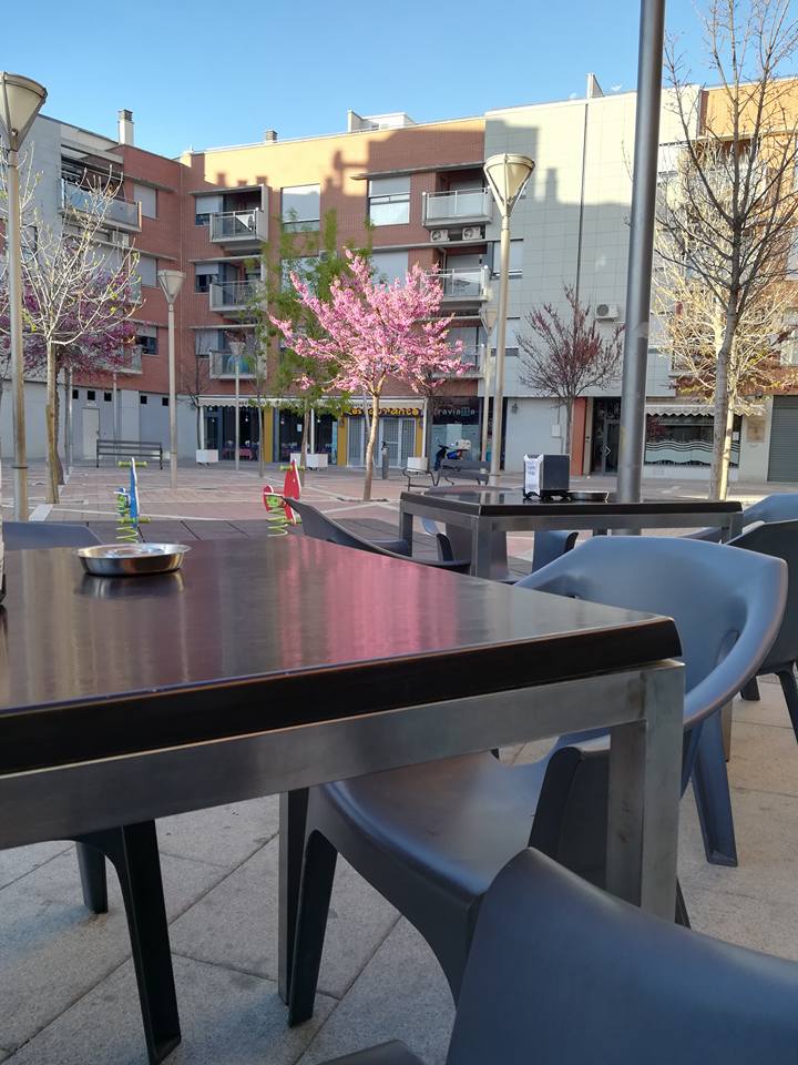 Pasara cafe — Ambiente