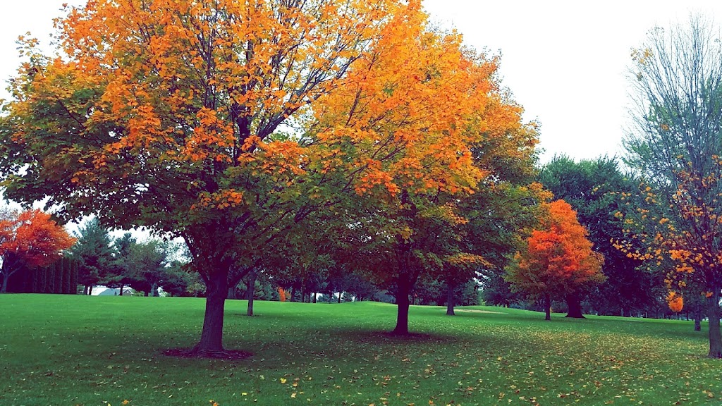  Cole Acres Golf & Grill