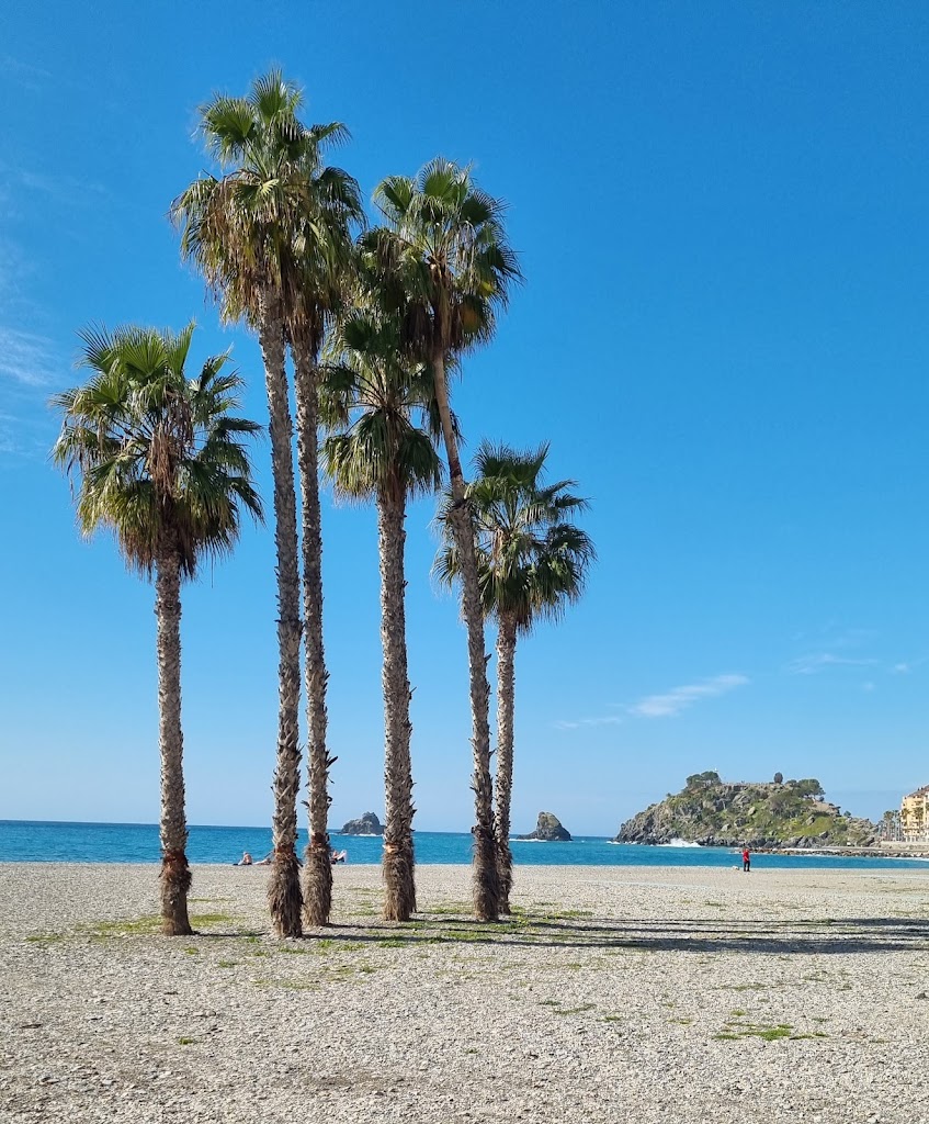 Restaurante Aljaima on the Strand — Mas recientes