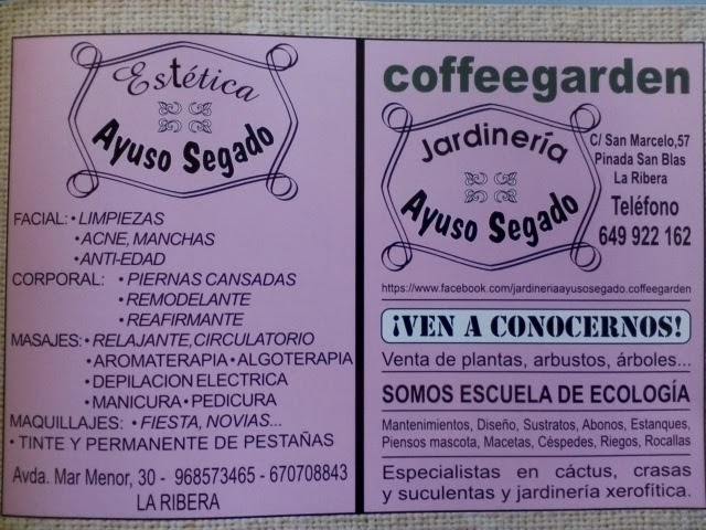 Coffeegarden Ayuso Segado — Carta