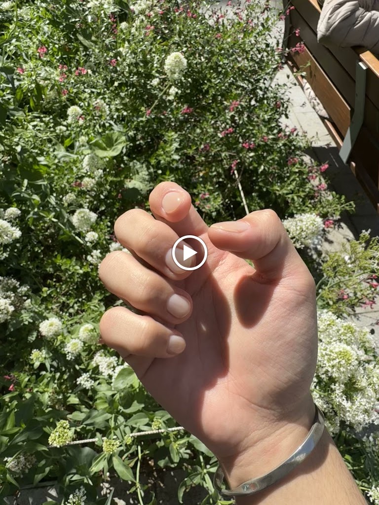 La Sampaguita — Videos