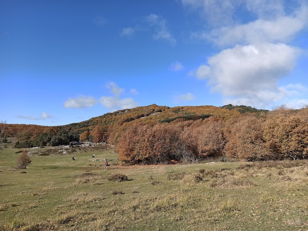 Los Campos de la Pena