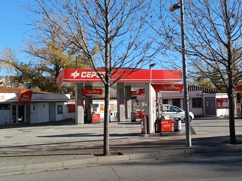 Estacion de servicio Cepsa VORALTER