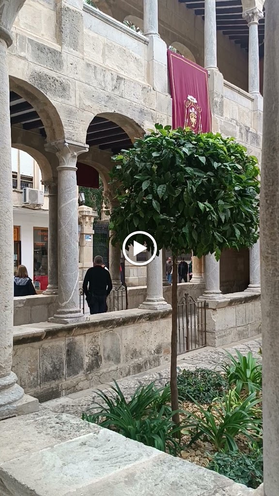 Palacio del Marques de Rafal — Videos