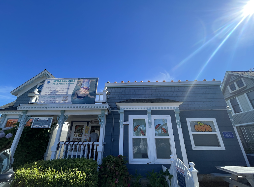  La Petite Baleen Swim Schools