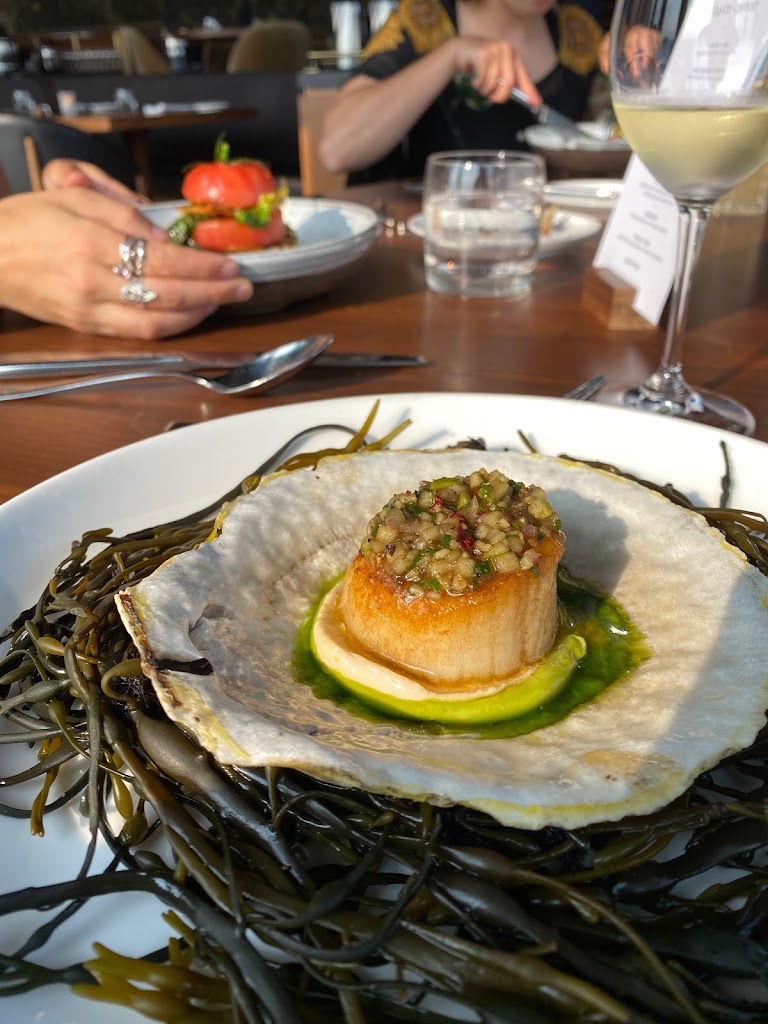 Scallops