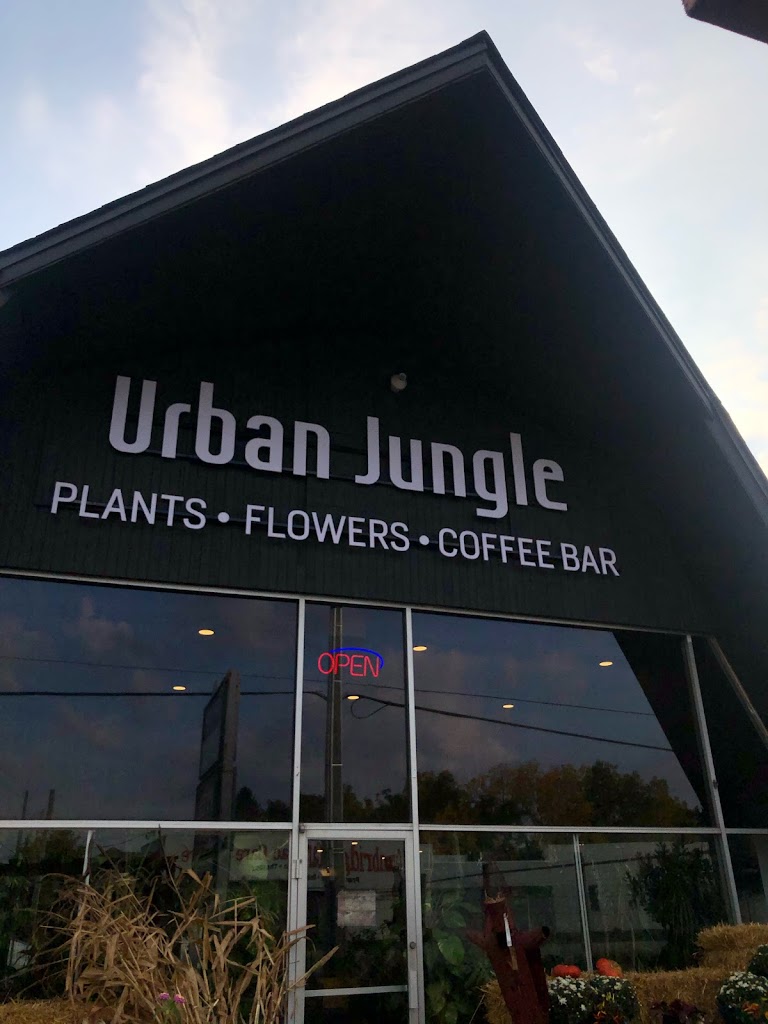 Urban Jungle Cambridge