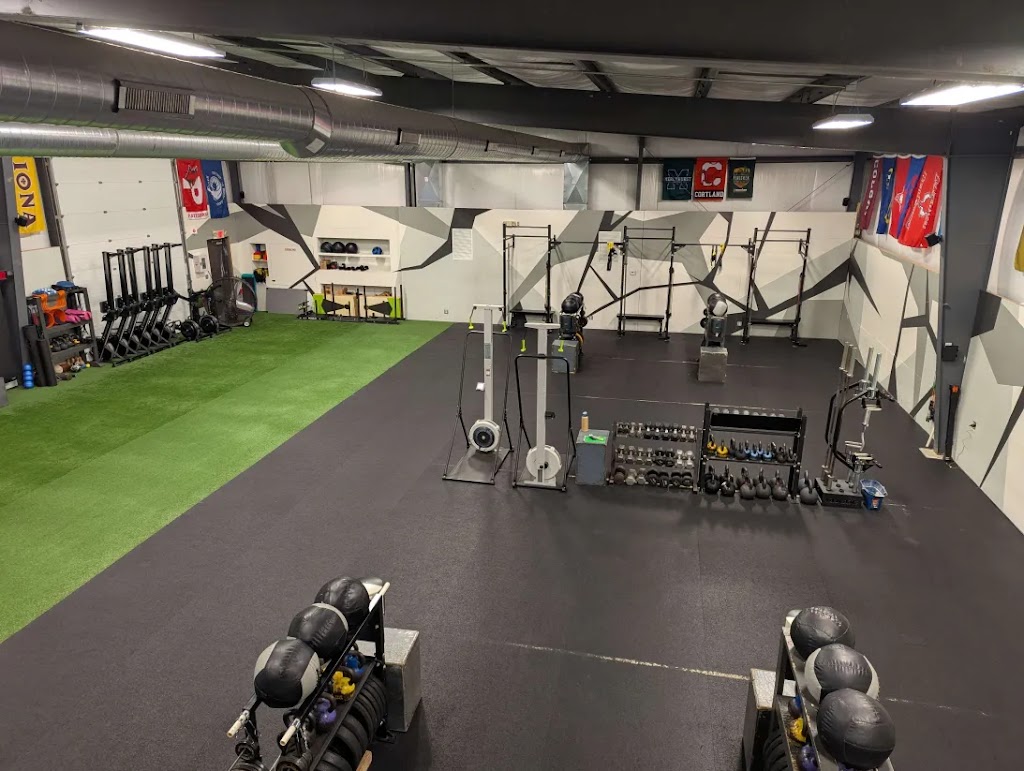  Contemporary Athlete