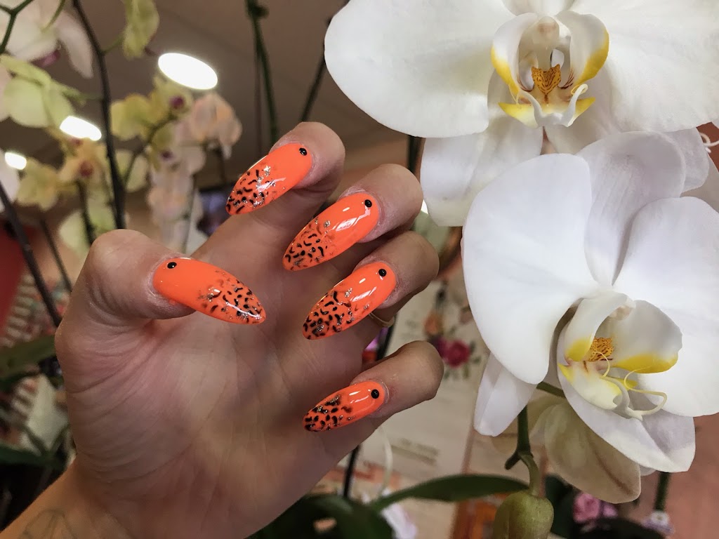 VT Nails Main Image