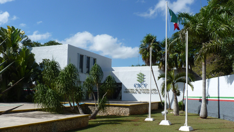 Centro de Investigacion Cientifica de Yucatan, A.C. (CICY)