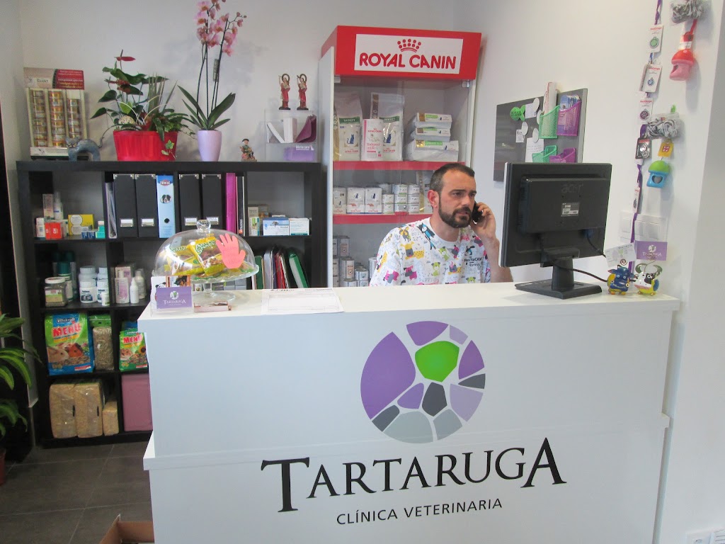 Tartaruga — Del propietario
