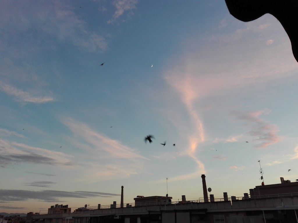 CAFETERIA PUB NOTYPICAL