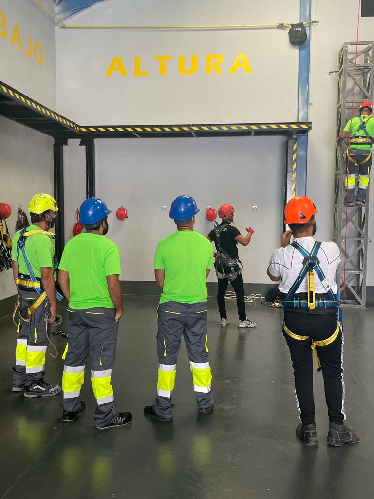 Gevalia formacion — Del propietario