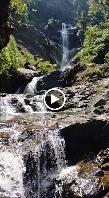 Videos
