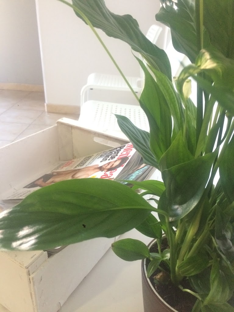 Xlibrio-Nutricion Y Tecnicas Naturales