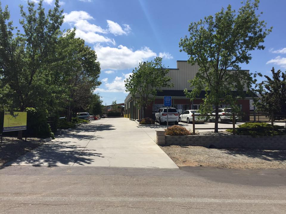  Perfect 10 Gymnastics