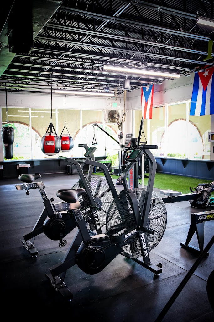  Box IQ Fitness + Knowledge