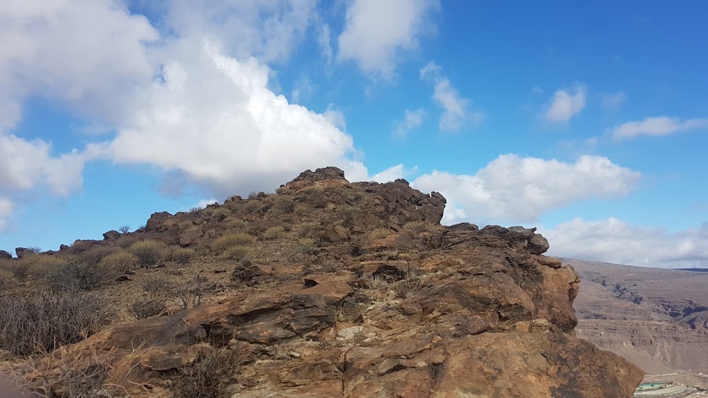 Roque de Los Cardones — Montana