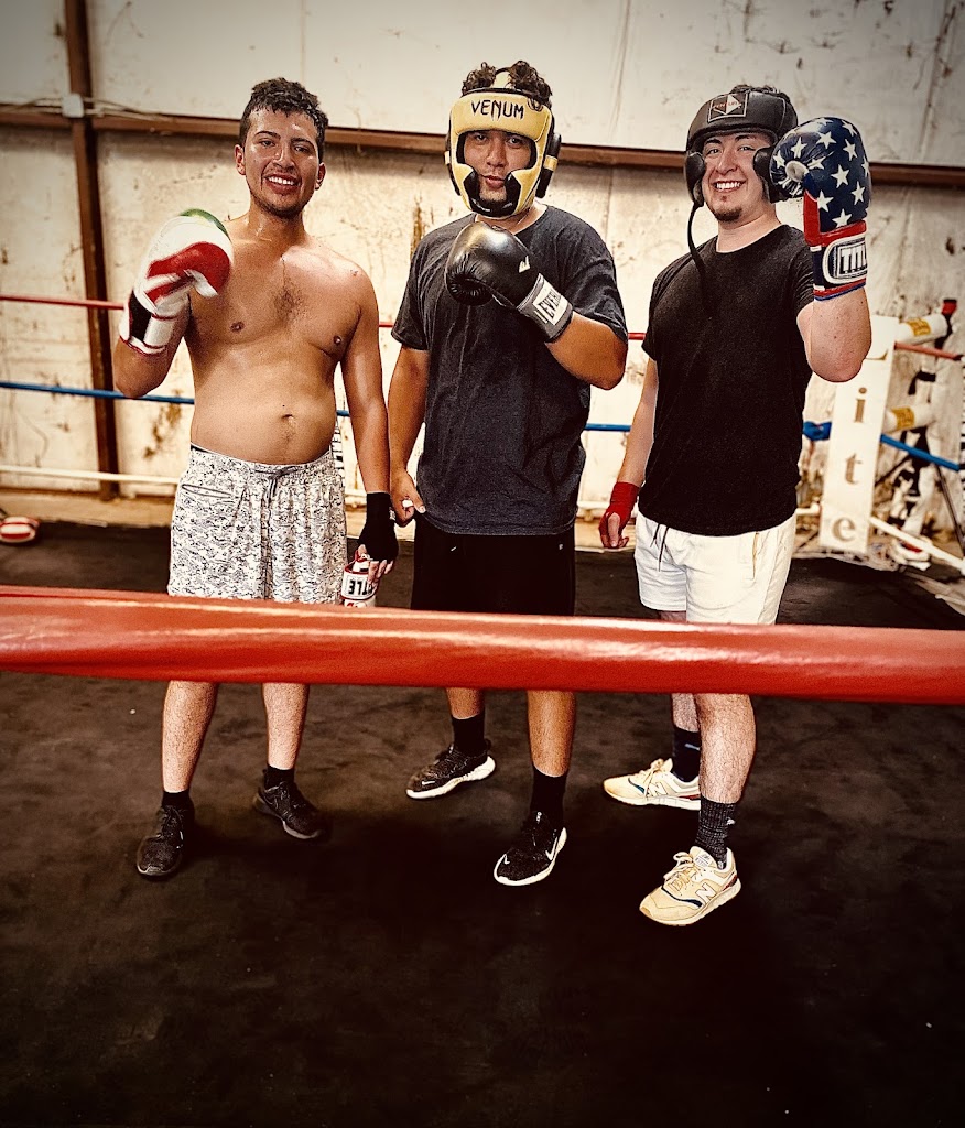  Gipson Boxing School of Sharks