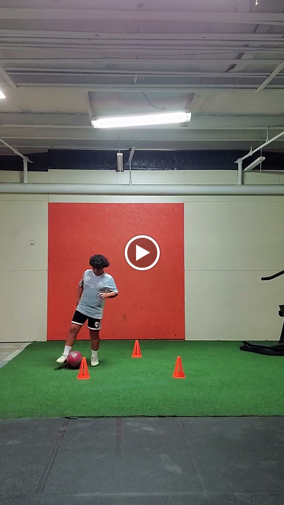  ELITE ATHLETIC FITNESS